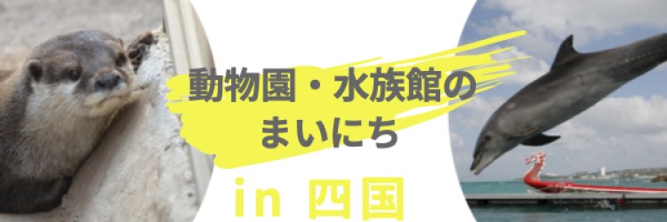 動物園・水族館のまいにち in 四国